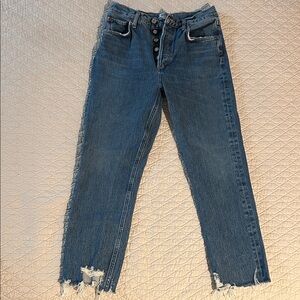 Agolde Distressed Blue Ankle Jeans